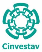 Logo Cinvestav